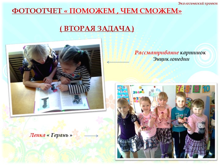 Презентация на тему "Комнатные растения" нашей группы