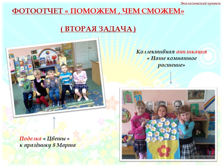 Презентация на тему "Комнатные растения" нашей группы