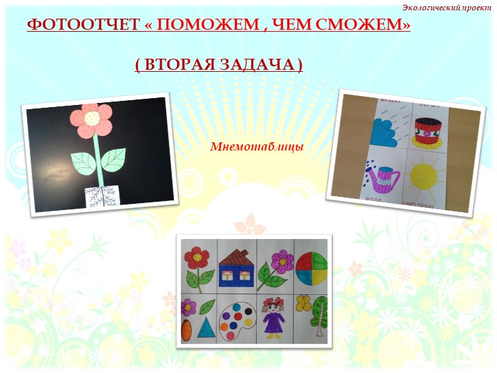 Презентация на тему "Комнатные растения" нашей группы