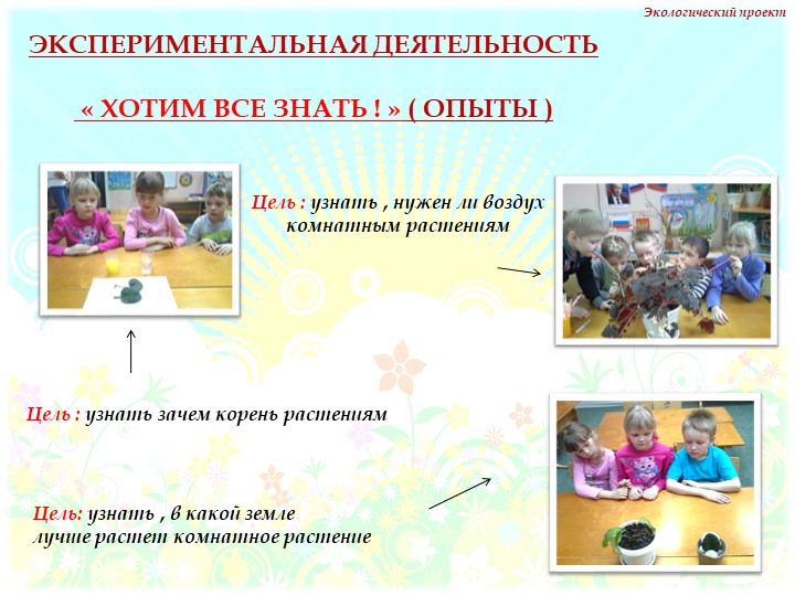 Презентация на тему "Комнатные растения" нашей группы