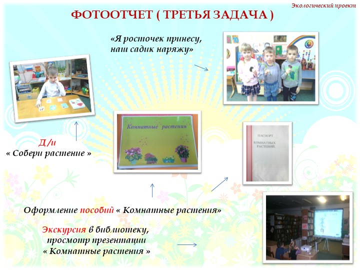 Презентация на тему "Комнатные растения" нашей группы