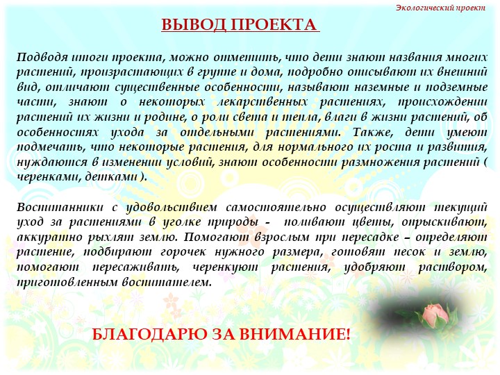 Презентация на тему "Комнатные растения" нашей группы