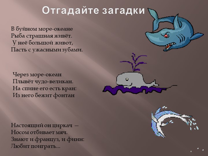 Презентация по теме Животный мир морей