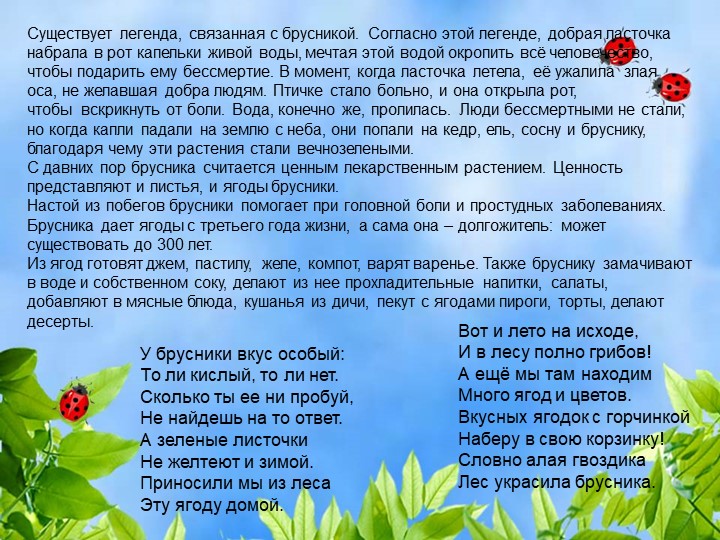 Презентация по познавательному экологическому развитию на тему "Ягодные кустарники"