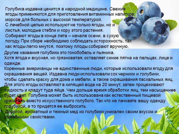 Презентация по познавательному экологическому развитию на тему "Ягодные кустарники"