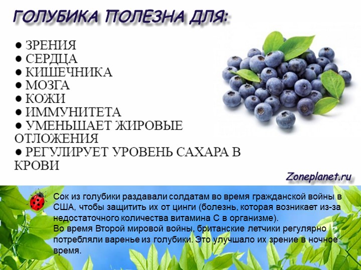 Презентация по познавательному экологическому развитию на тему "Ягодные кустарники"