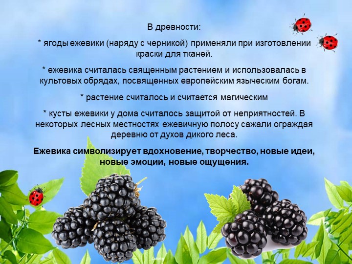 Презентация по познавательному экологическому развитию на тему "Ягодные кустарники"