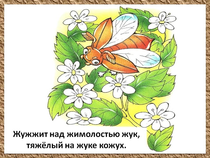 Презентация по познавательному экологическому развитию на тему "Ягодные кустарники"