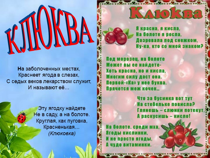 Презентация по познавательному экологическому развитию на тему "Ягодные кустарники"