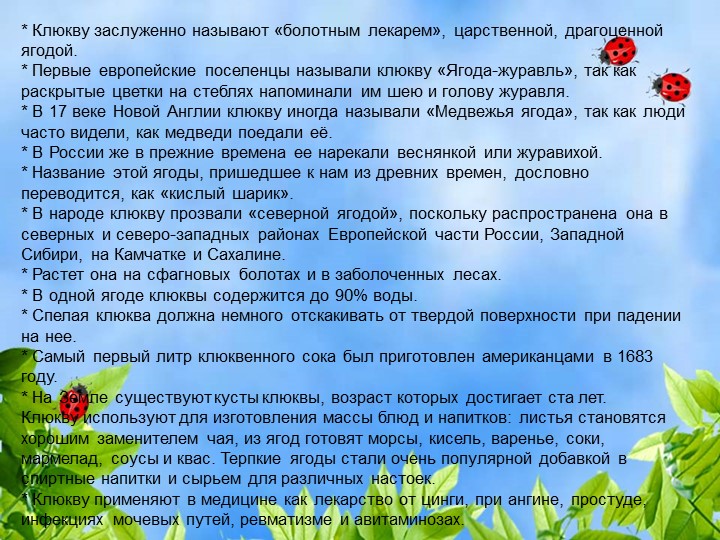 Презентация по познавательному экологическому развитию на тему "Ягодные кустарники"
