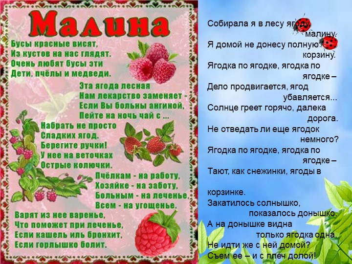 Презентация по познавательному экологическому развитию на тему "Ягодные кустарники"