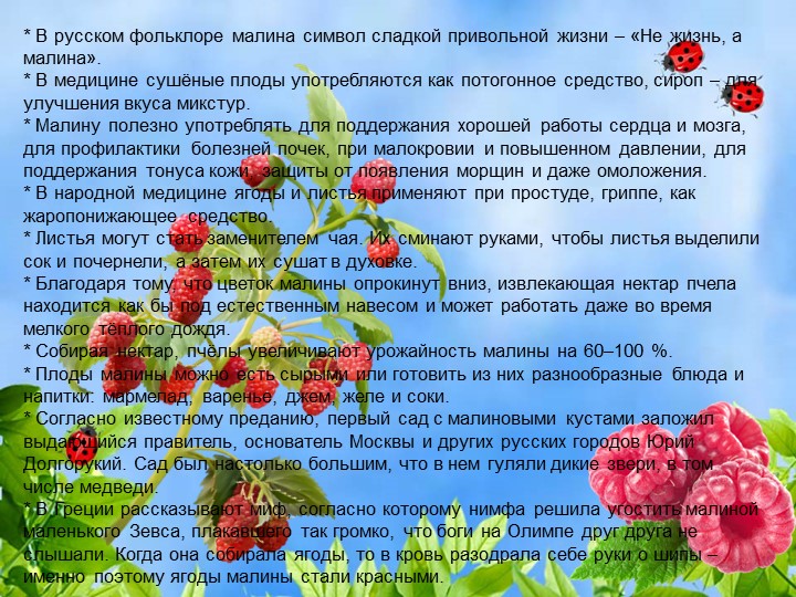 Презентация по познавательному экологическому развитию на тему "Ягодные кустарники"