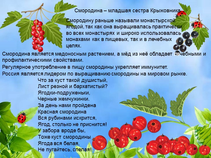 Презентация по познавательному экологическому развитию на тему "Ягодные кустарники"