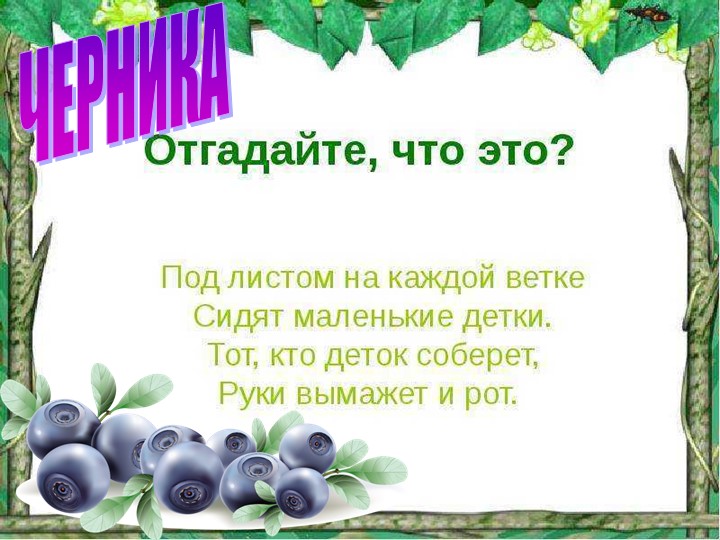 Презентация по познавательному экологическому развитию на тему "Ягодные кустарники"