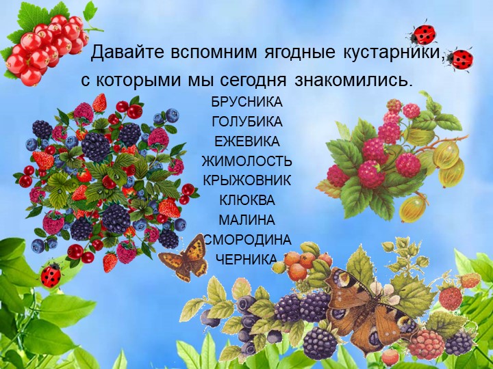 Презентация по познавательному экологическому развитию на тему "Ягодные кустарники"