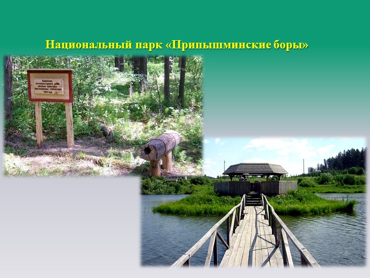 Презентация: "Моя Родная Талица..."
