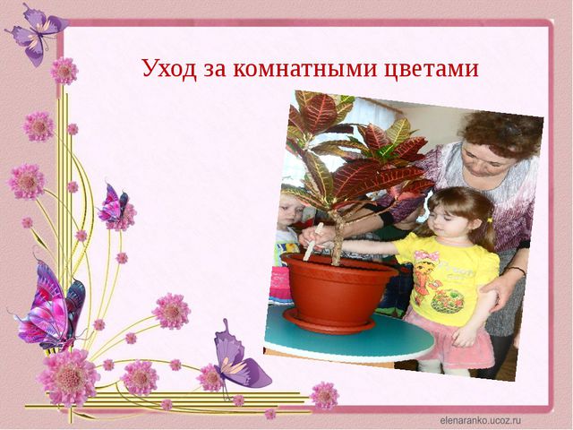 Уголок природы. Презентация для детей