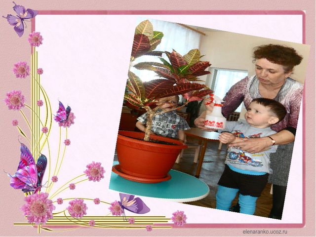 Уголок природы. Презентация для детей