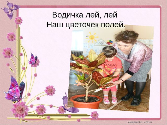 Уголок природы. Презентация для детей