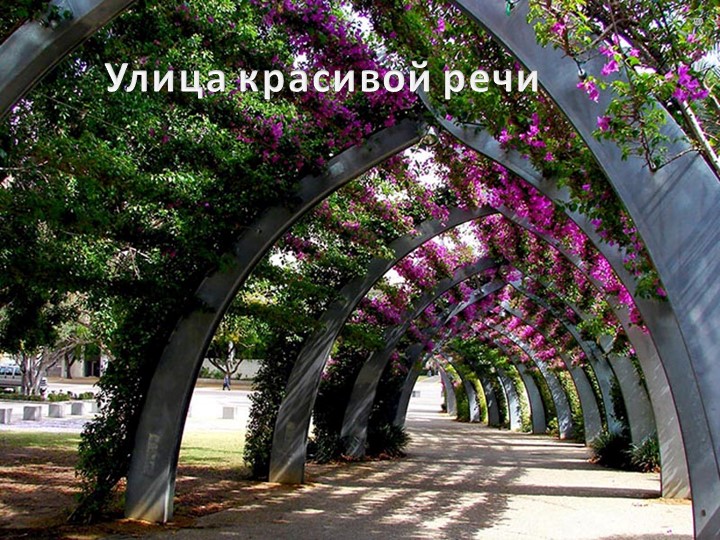 Презентация "В город Красивой Речи"