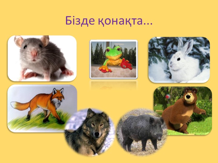 "Қолғап " украин ертегісі