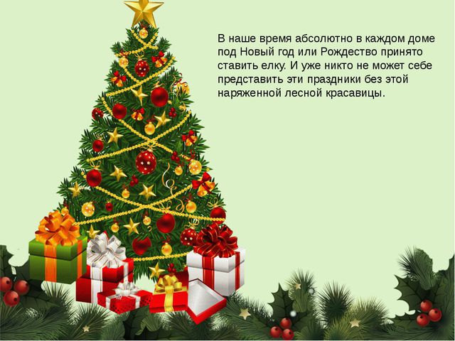Знакомство дошкольников с сосной и елью. Презентация