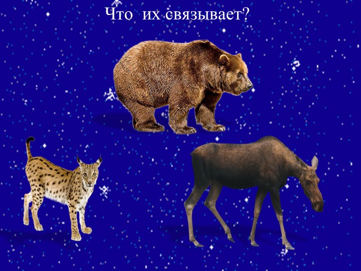 Презентация на тему "Подготовка животных к зиме"