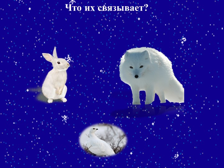 Презентация на тему "Подготовка животных к зиме"