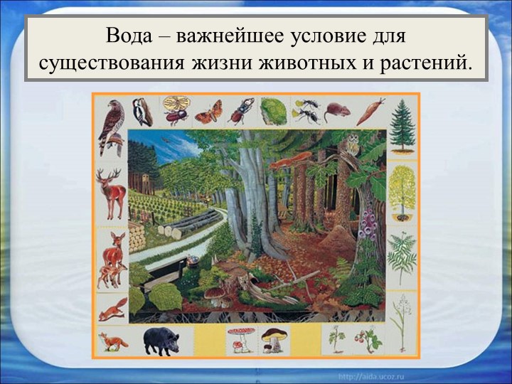 Презентация для детей подготовительной группы "Вода"