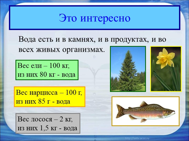 Презентация для детей подготовительной группы "Вода"