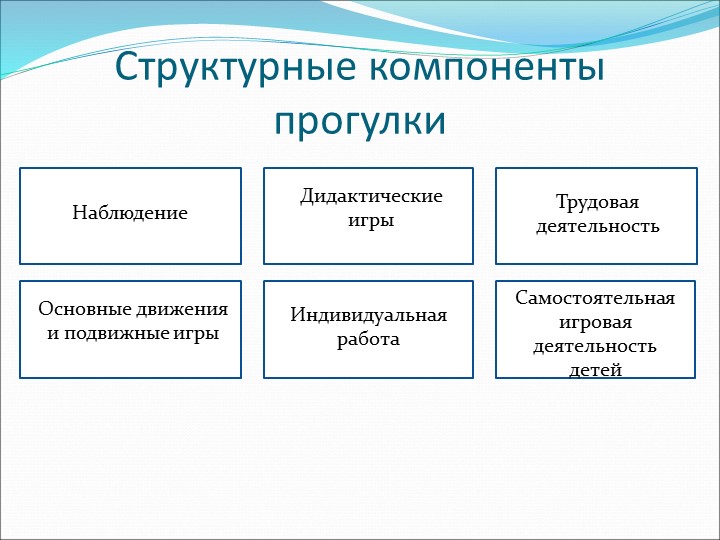 Презентация "организация прогулки в зимнее время"