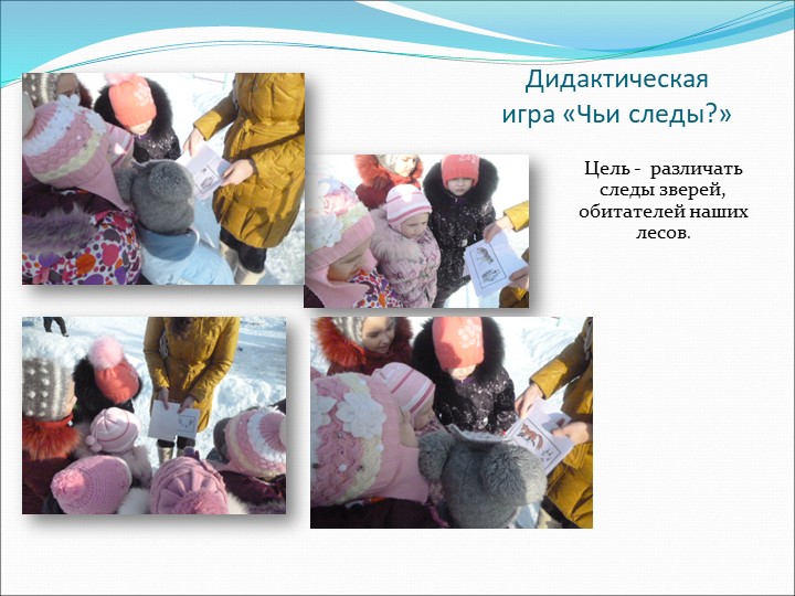 Презентация "организация прогулки в зимнее время"