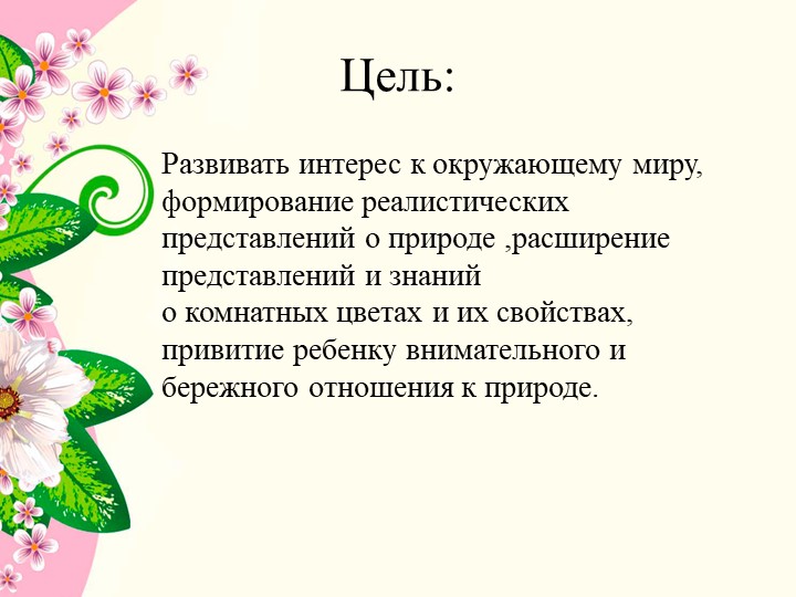 Презентация к проекту в средней группе детского сада " Комнатные растения"