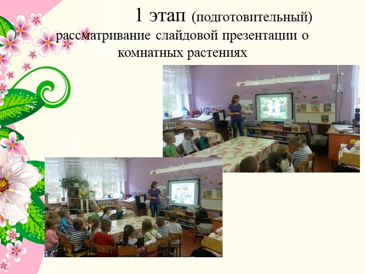 Презентация к проекту в средней группе детского сада " Комнатные растения"
