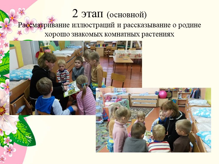 Презентация к проекту в средней группе детского сада " Комнатные растения"