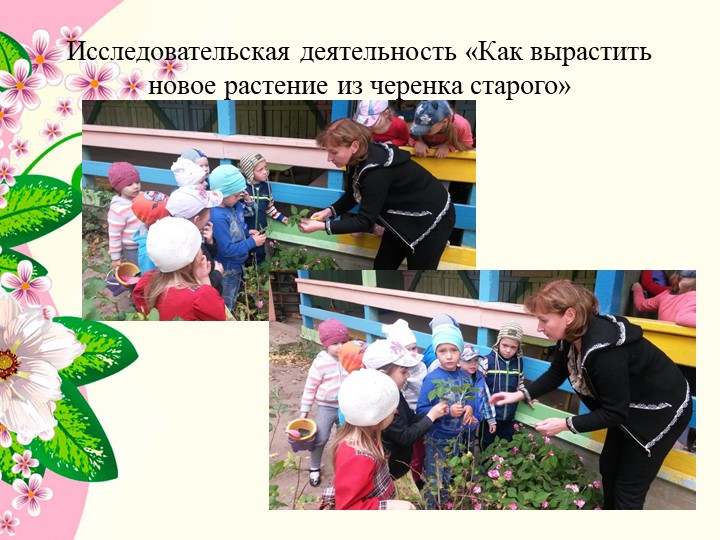 Презентация к проекту в средней группе детского сада " Комнатные растения"