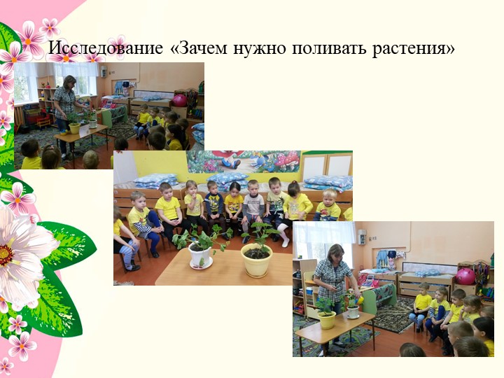Презентация к проекту в средней группе детского сада " Комнатные растения"