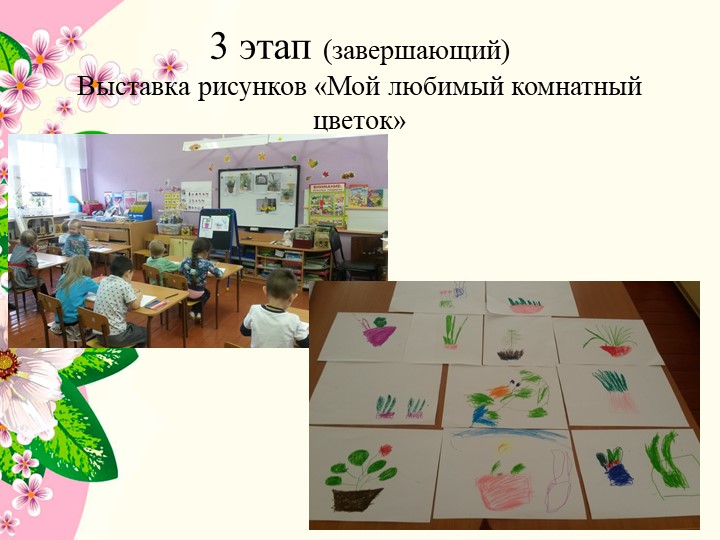 Презентация к проекту в средней группе детского сада " Комнатные растения"
