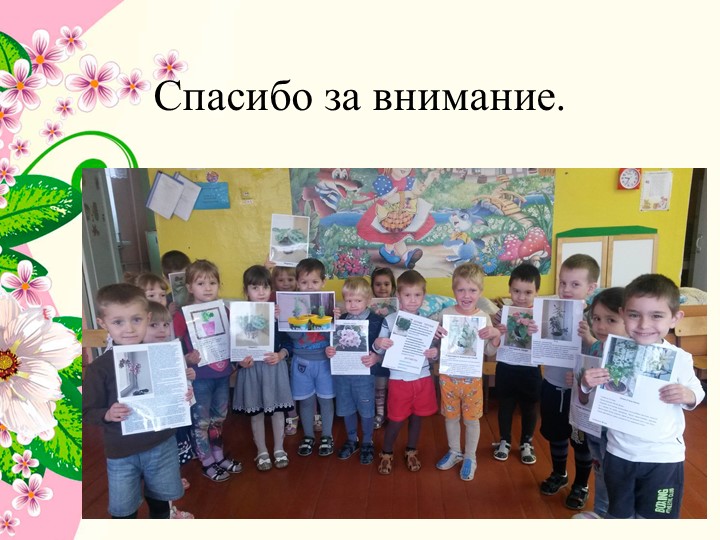 Презентация к проекту в средней группе детского сада " Комнатные растения"