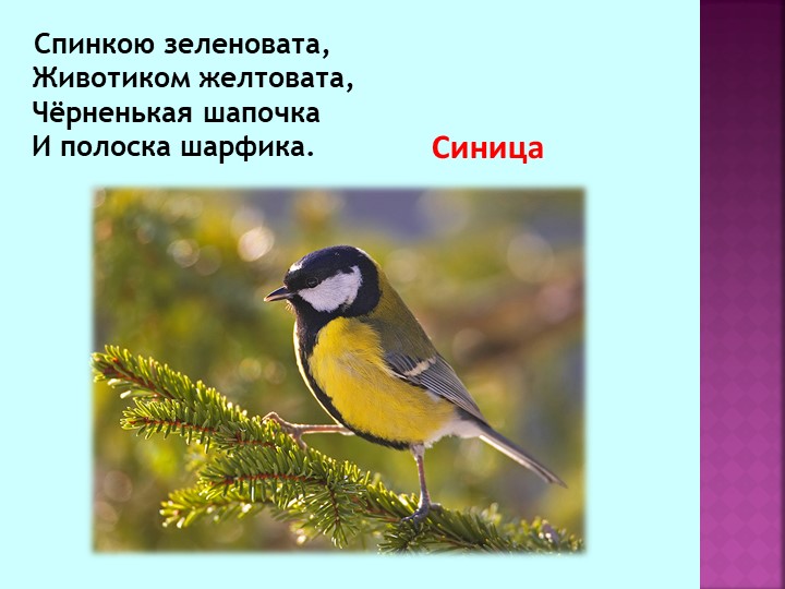 Презентация по теме "Зимующие птицы"