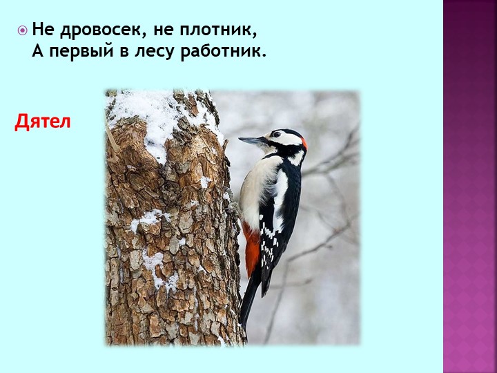 Презентация по теме "Зимующие птицы"