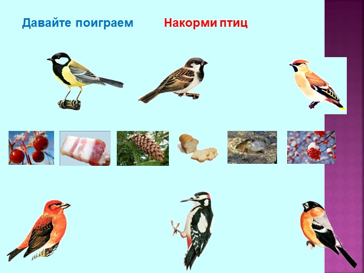 Презентация по теме "Зимующие птицы"
