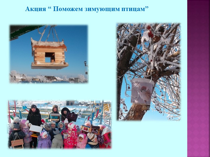 Презентация по теме "Зимующие птицы"