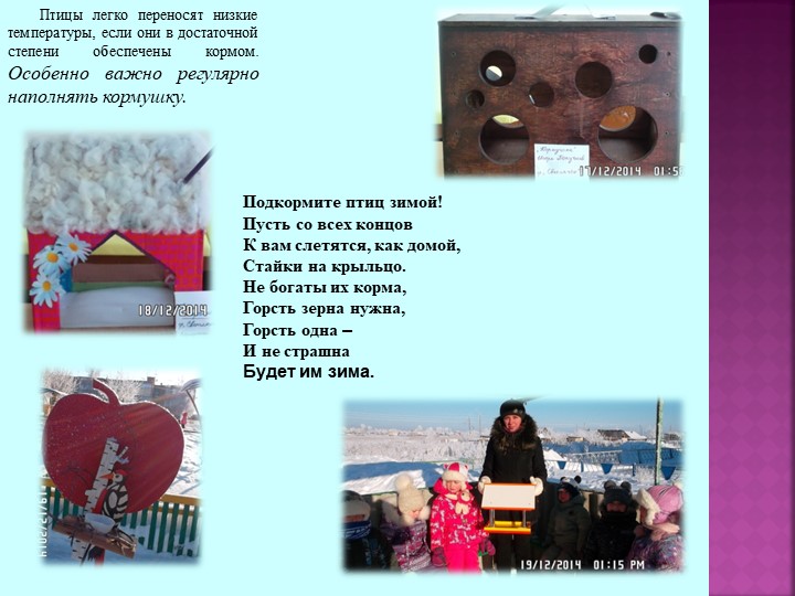 Презентация по теме "Зимующие птицы"