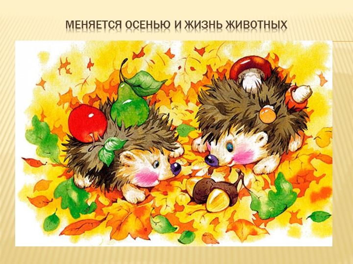 Призентация для дошкольников на тему "Осень"