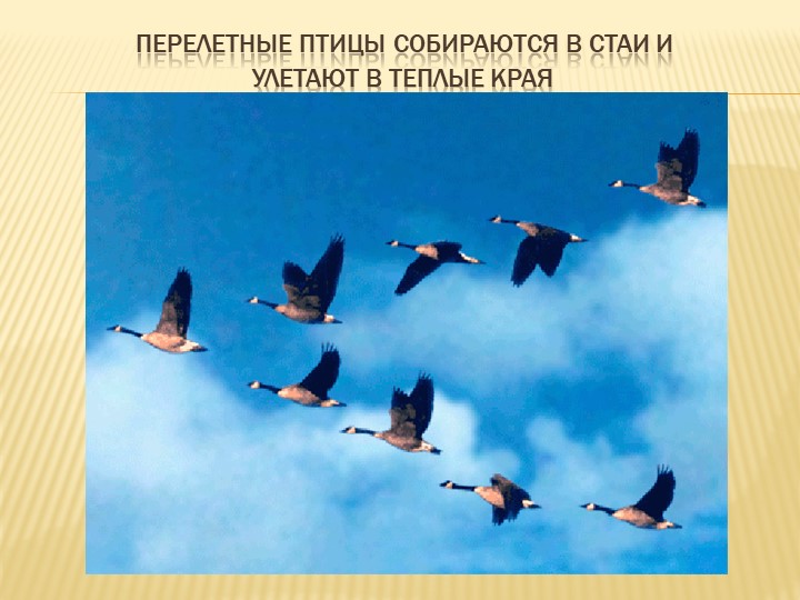 Призентация для дошкольников на тему "Осень"