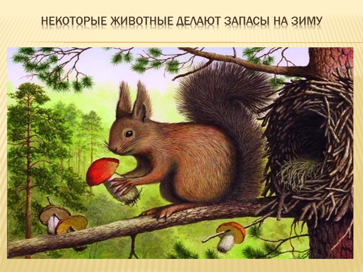 Призентация для дошкольников на тему "Осень"