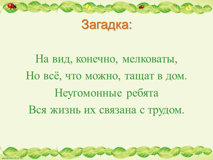 Презентация по образовательной области "Познавательное развитие" - "Муравьи - защитники леса"