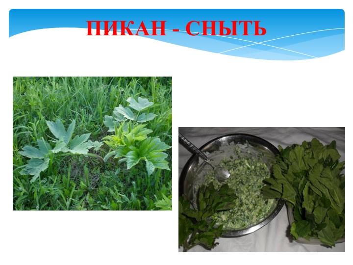Презентация " Традиционная кухня коми-пермяков"