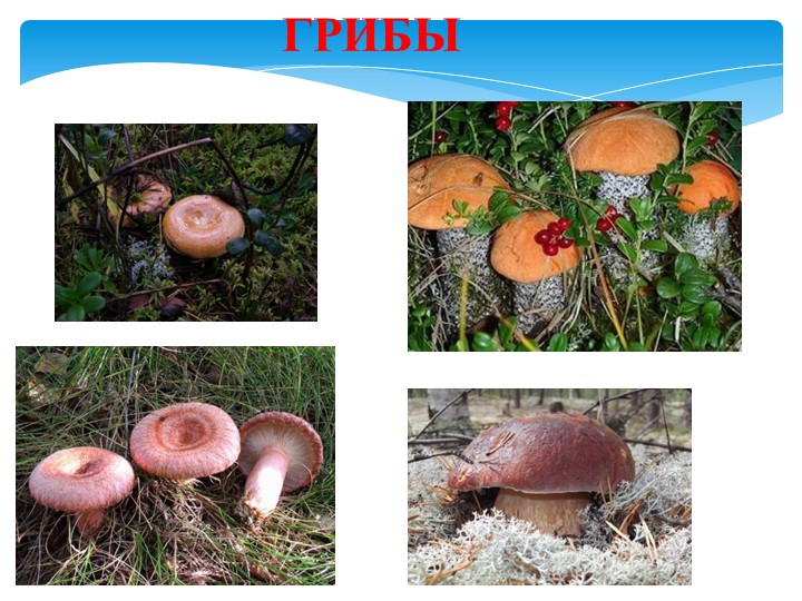 Презентация " Традиционная кухня коми-пермяков"